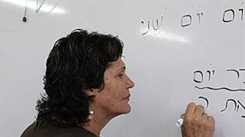 המורים לא יפוטרו.