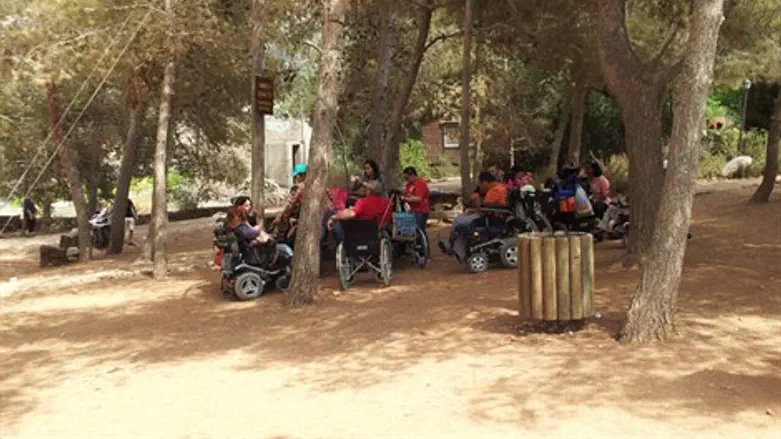 טיילו בזכות הנגישות