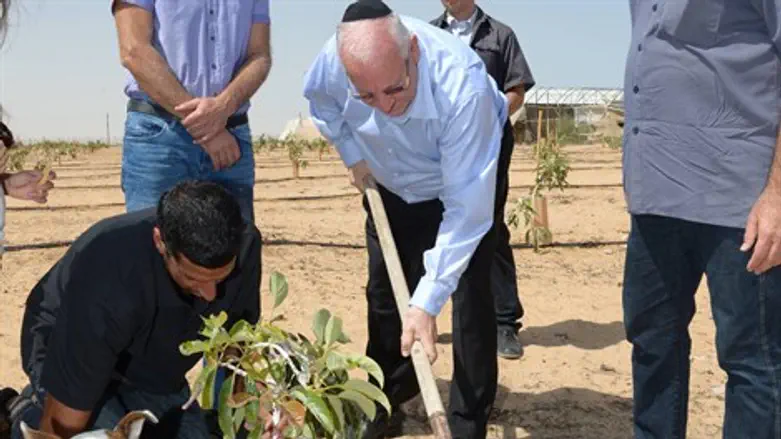 הנשיא במועצת אשכול