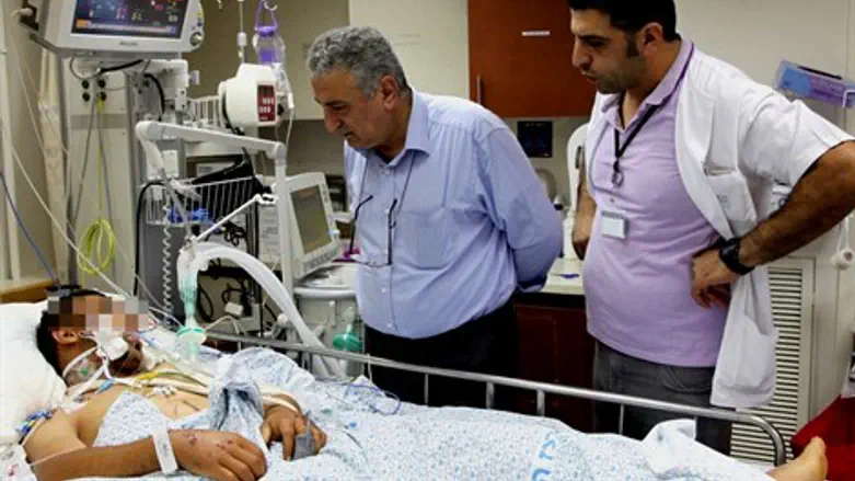 לובאני (במרכז) בצפת