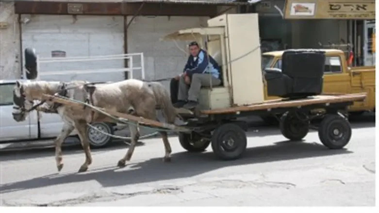 Horse and cart in Yafo