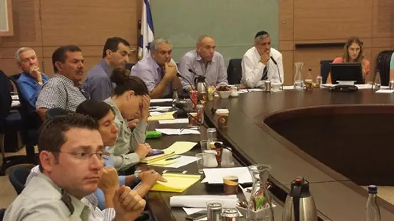 הדיון בוועדה