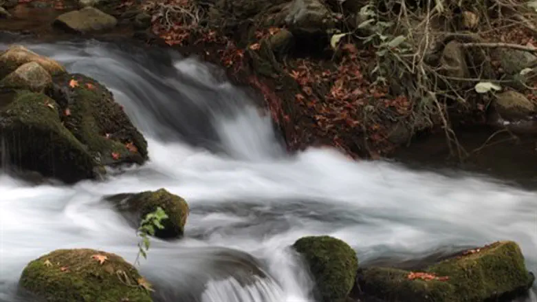 המאזין מוצא עצמו בתוך עולם של נחלים