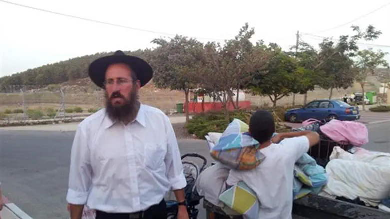 סנדרוי בהתארגנות לחג