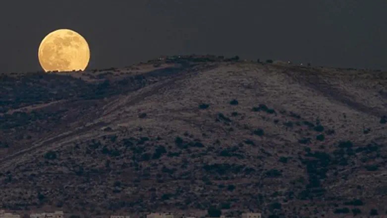 שמח על הירח