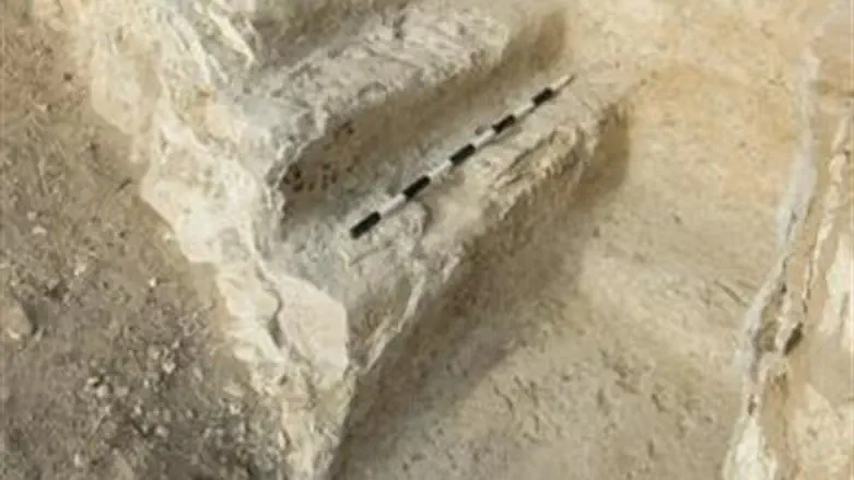 מקווה הטהרה