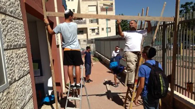 תלמידי אמי"ת בונים סוכה