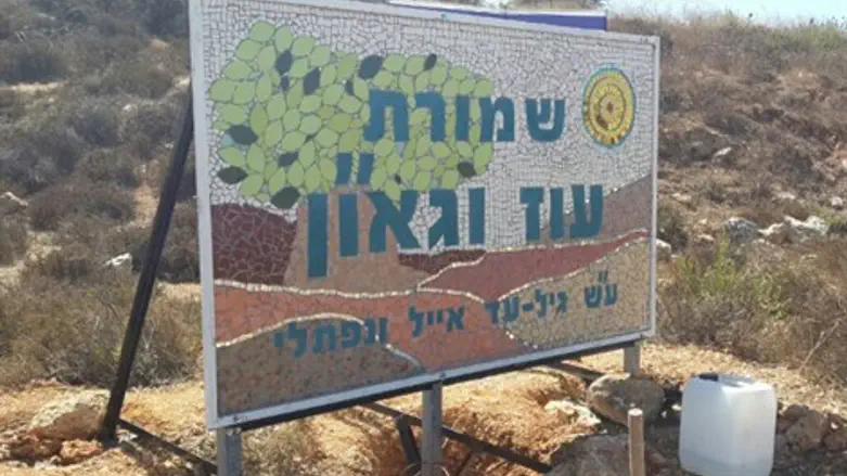 הפסיפס סמוך לגבעה