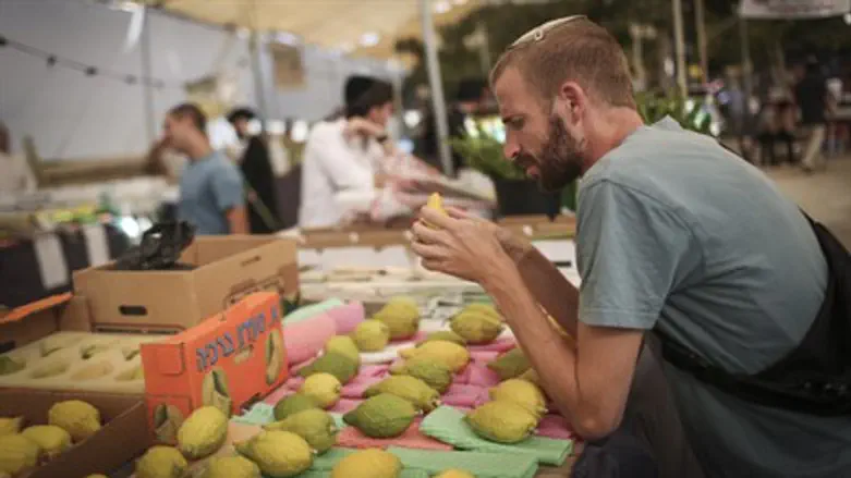 ארבעת המינים
