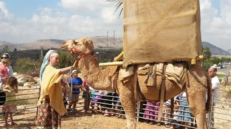 השומרון ממגנט