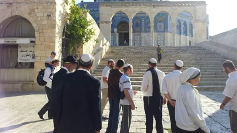 יהודים בהר הבית הבוקר