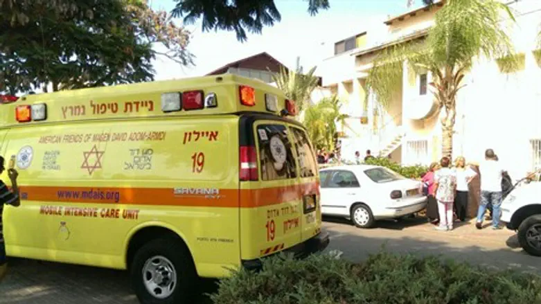 זירת האסון