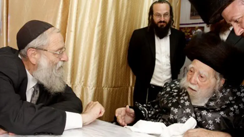 הרב שטרן אצל האדמו"ר מערלוי