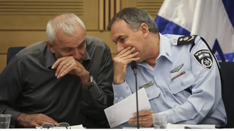 'Frenemies'? Danino and Aharonovich (file)