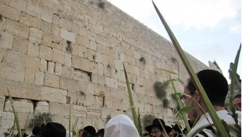 Молитва ватикин в Суккот у Западной Стены