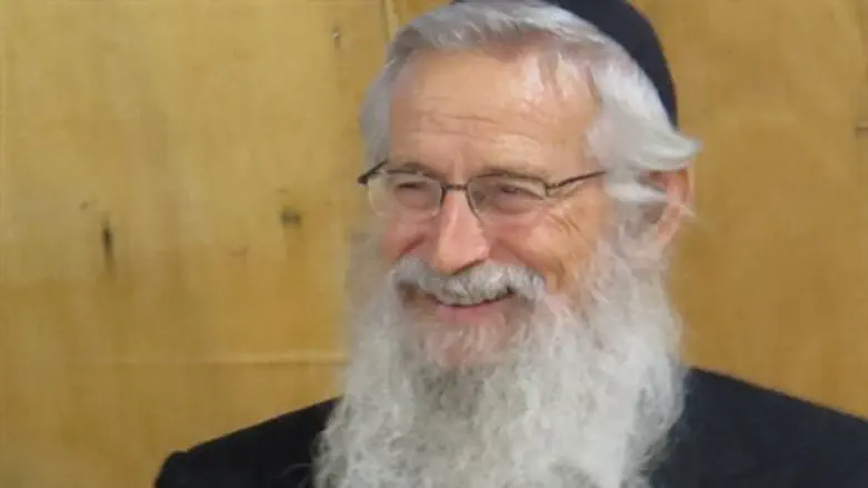 הרב זלמן מלמד