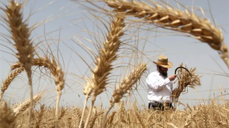 אילוסטרציה