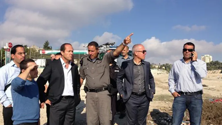 ברקת בסיור. הבוקר