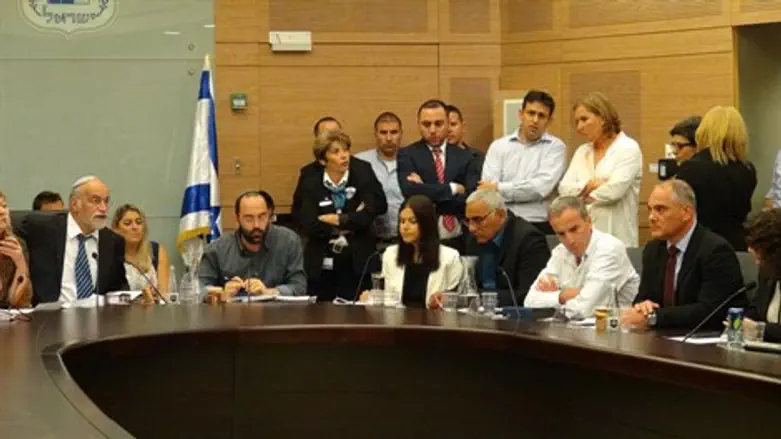 דיון בועדת חוקה