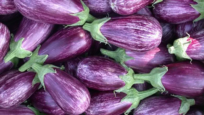 תשאירו לו את הסגול