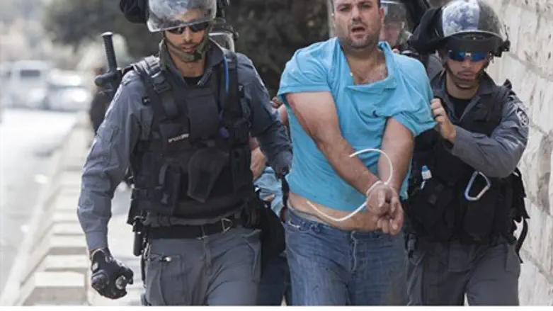 Border police arrest (file)