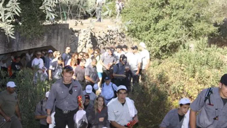 צועדים בכרמל