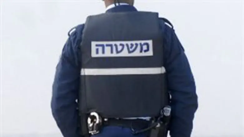 "פשע כדרך חיים"