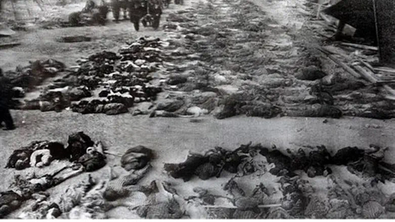 Corpses at Dachau (file)