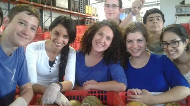 הגשמה באלקנה