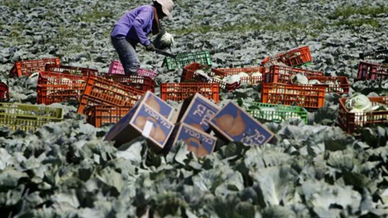 ללמוד ולעשות