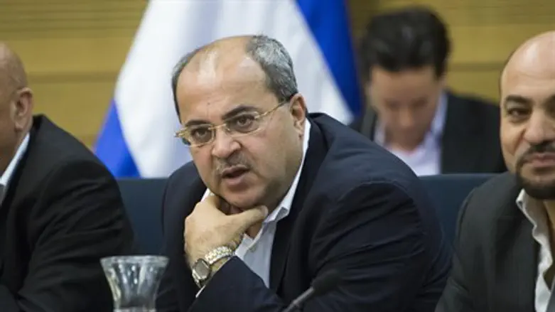 Ahmed Tibi, Arab MKs