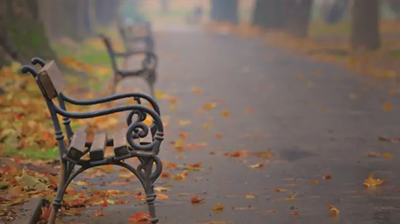 החורף הארוך של החיים