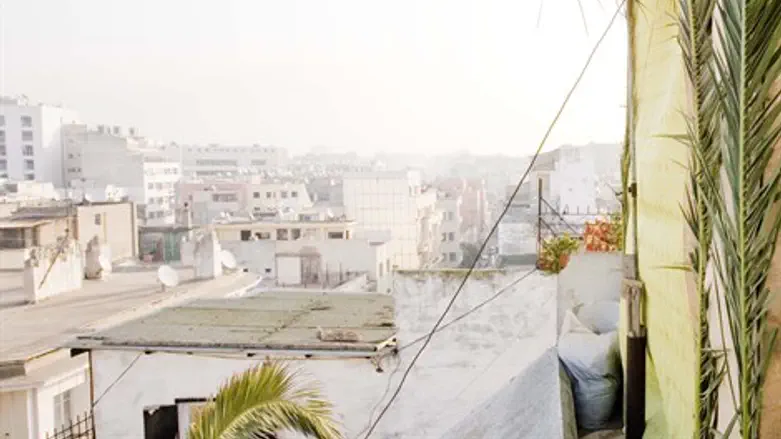 פחד מוות. קזבלנקה