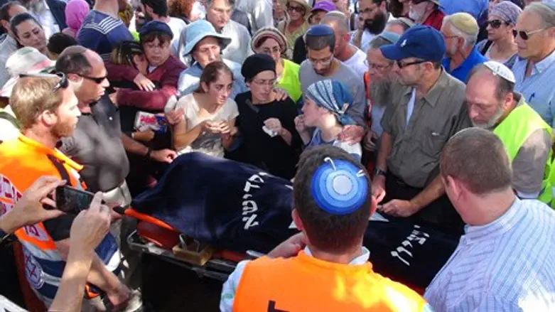 דליה מובאת למנוחות