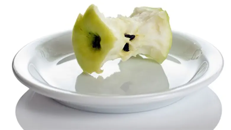 כבר לא צריך דיאטה