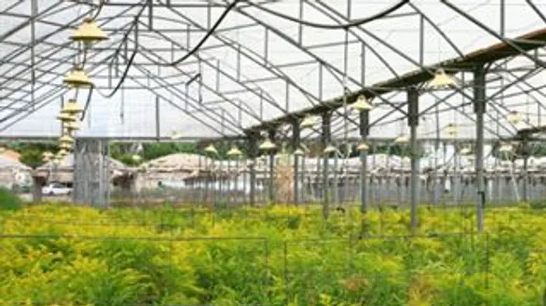 מייצרים חשמל