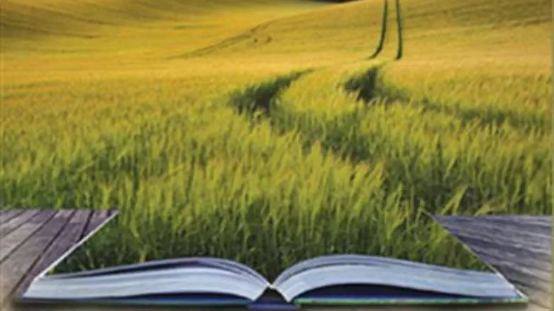 שמיטה יום יום