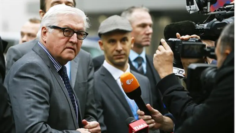 German Foreign Minister Frank-Walter Steinmeier in Vienna