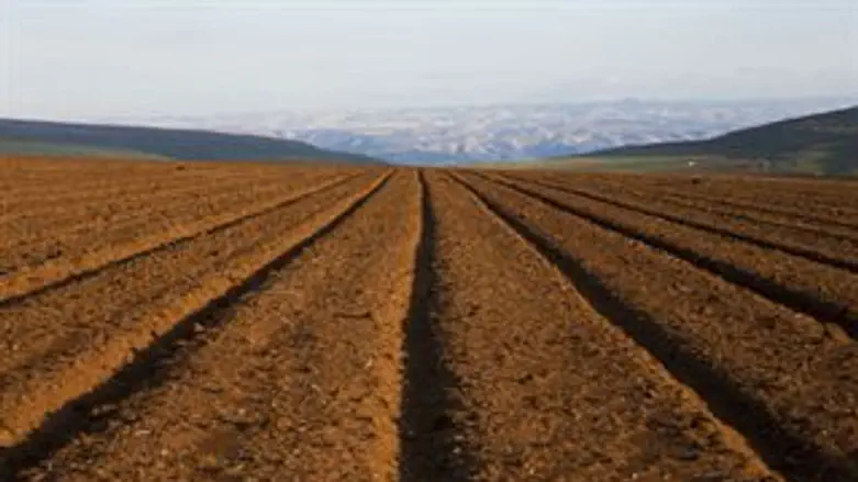 הדיון נדחה.