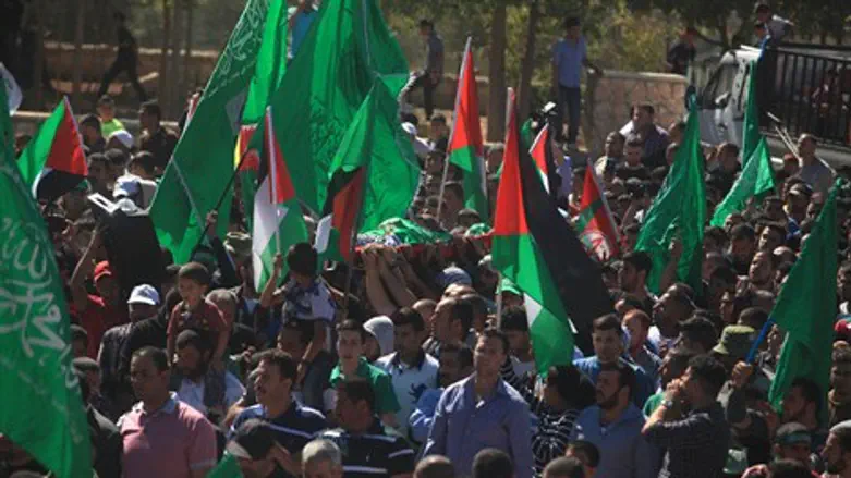 ההוויות הפכו למוקד גיוס לטרור