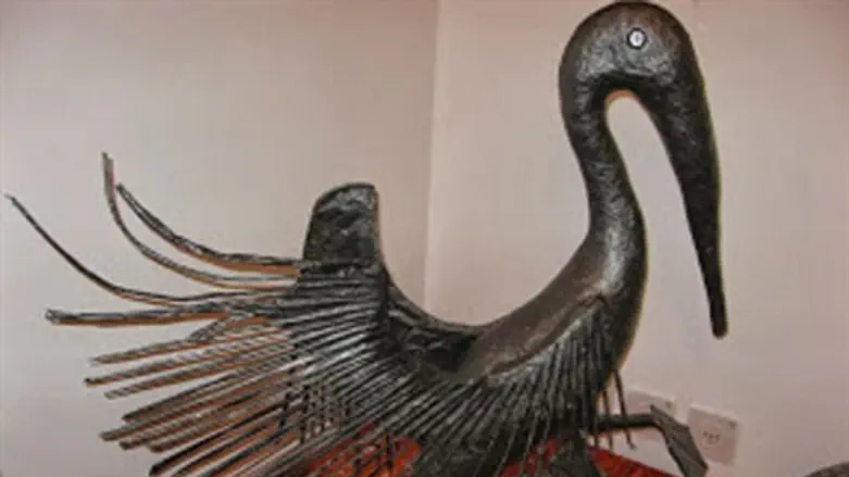 פליקון שחור