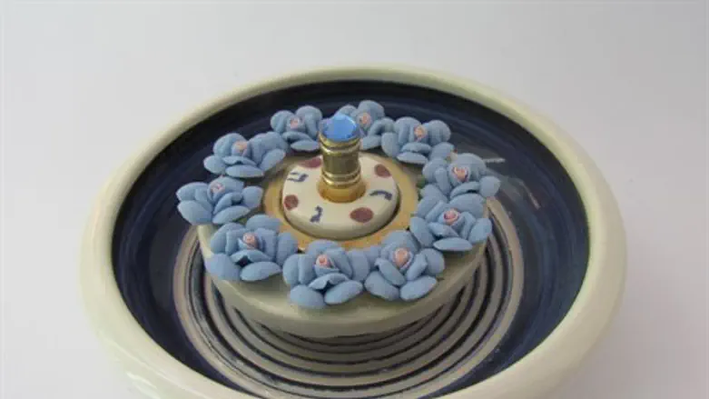 סביבון בריכת הנופרים