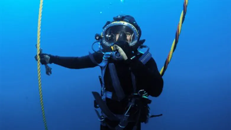 לוחמי הילת"ם