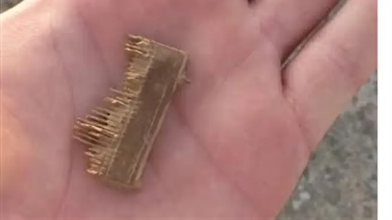 Ancient lice comb recovered from the thieves