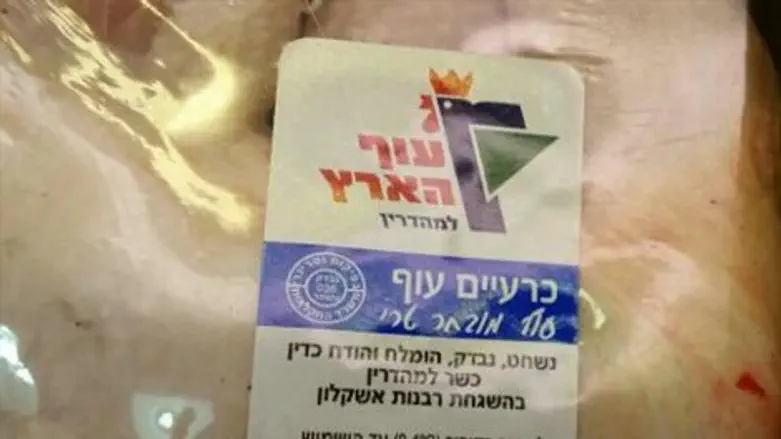 עוף הארץ