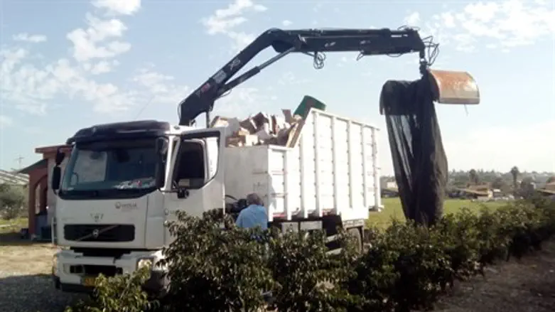 השמדת המזון המזוייף