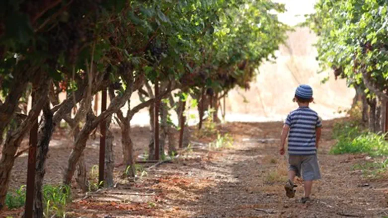 צילום מהתצוגה