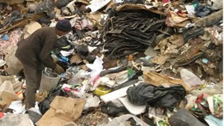 החיפושים העלו חרס, בעצם גם את זה לא