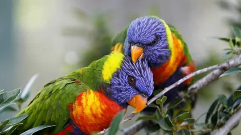 לדעת לקבל ביקורת