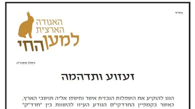 מתוך ה"מכתב" לציבור